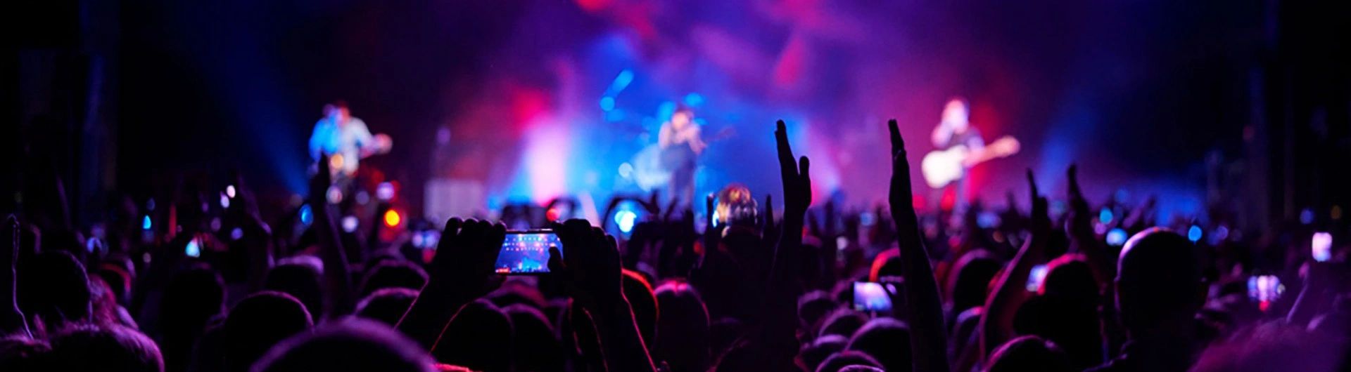 Concert Crowd