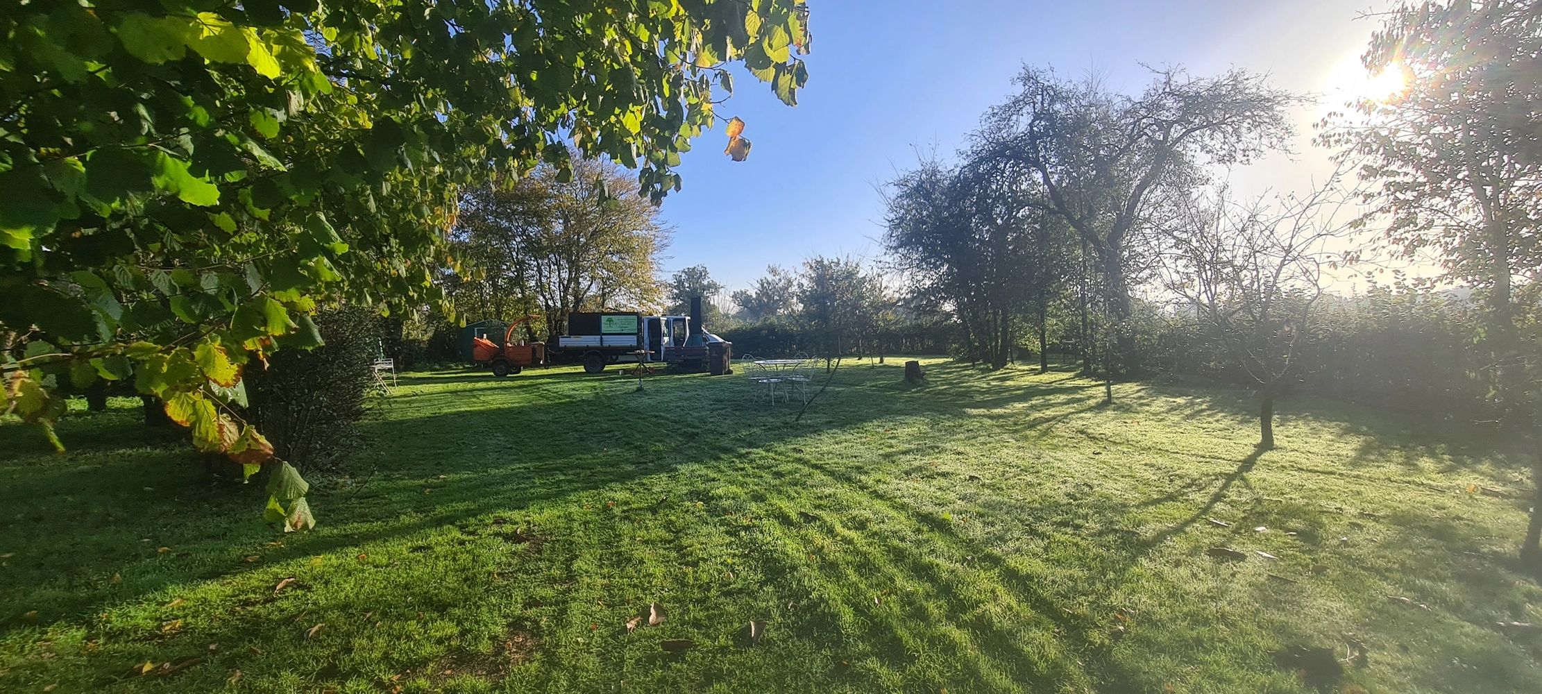 Sunny garden with green grass, trees, and a parked utility vehicle.