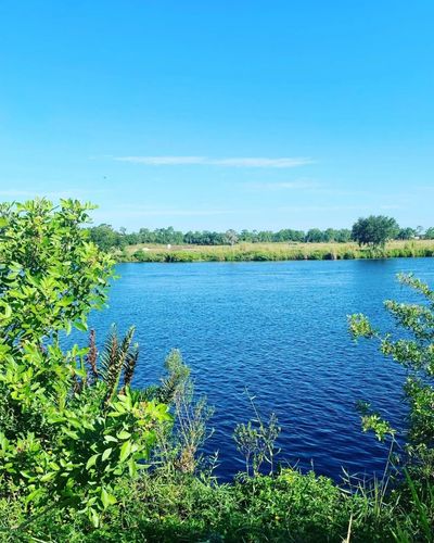 Caloosahatchee River view in Alva, Florida