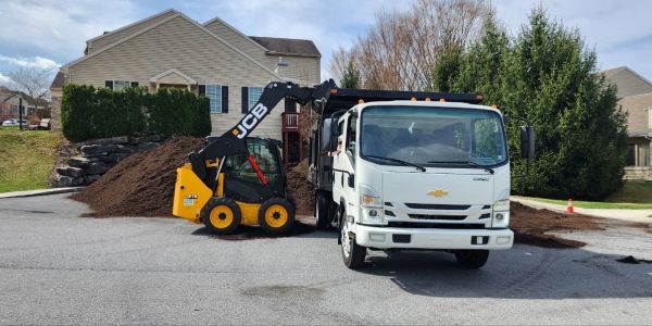 Yellow loader filling white dump truck with dirt.