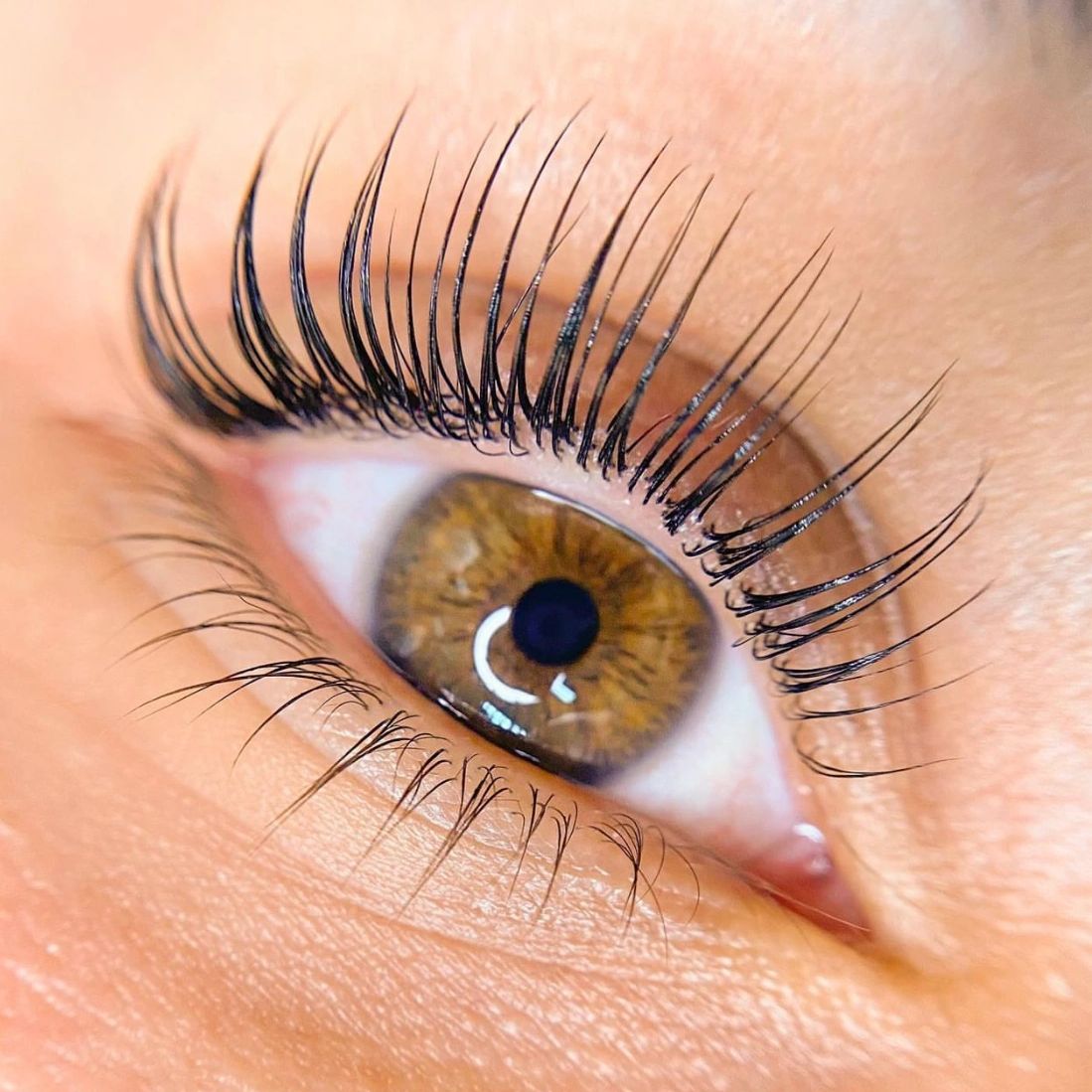 Close-up of an eye with long, lifted eyelashes.