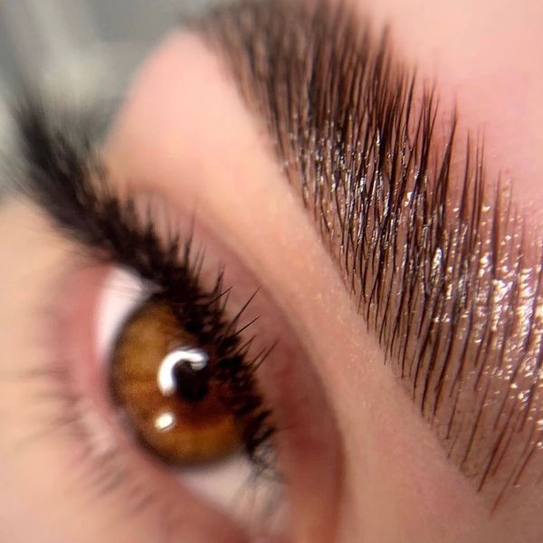Brow lamination with tint — full, feathered finish.