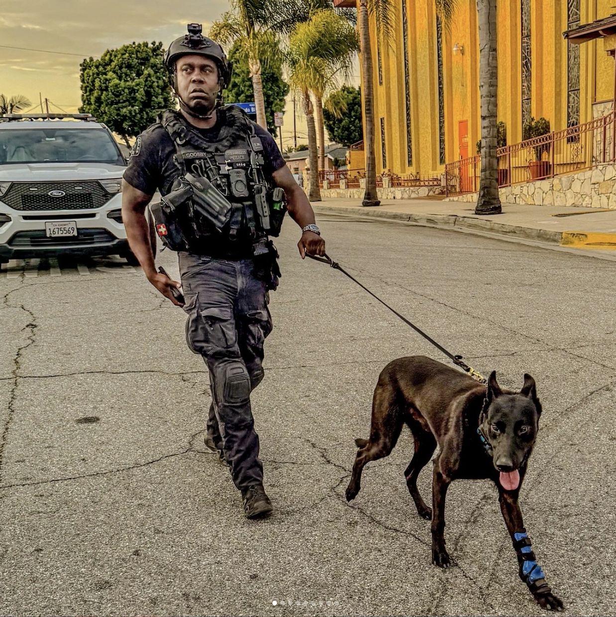 Police officer walking a K9 dog on a city street during sunset.