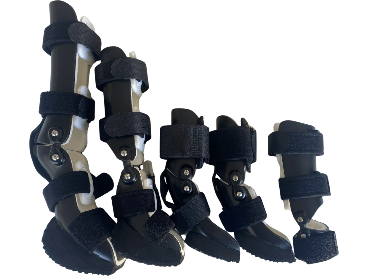 Different types of Custom Carpal Braces for dogs