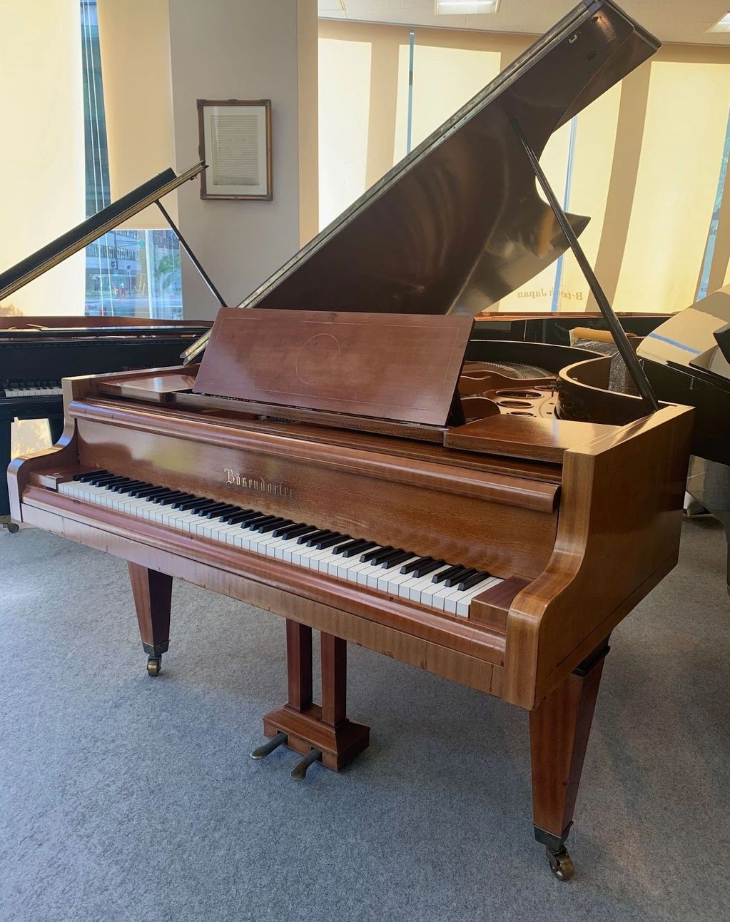 Bösendorfer 225