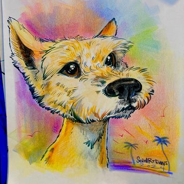 Drawn Live at Clearwater Beach