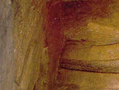 Ancient stone sculptures carved on a historic temple wall