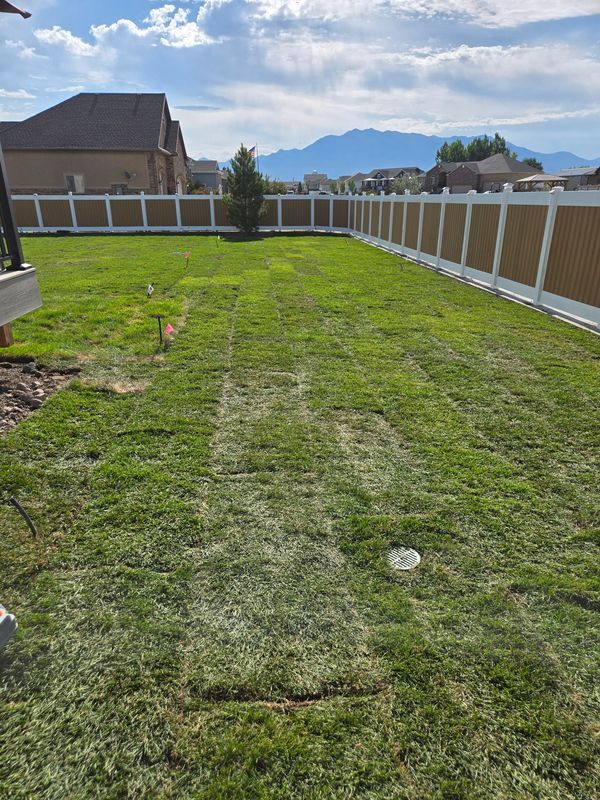 Newly laid sod in a fenced backyard with a mountain view.
