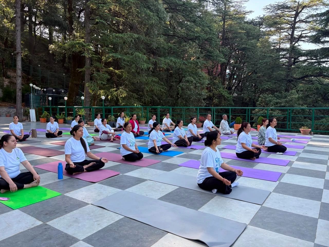 Group meditating outdoors on yoga mats.