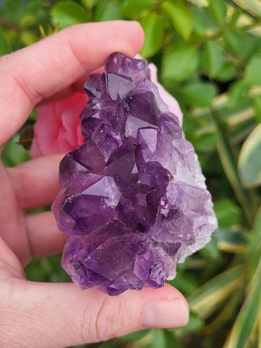 Amethyst Cluster From Brazil
