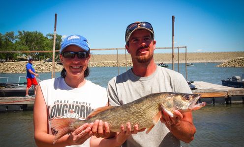 Woman (left) and Man (right) holding walleye.  Image provided by Nichole's Imaging.