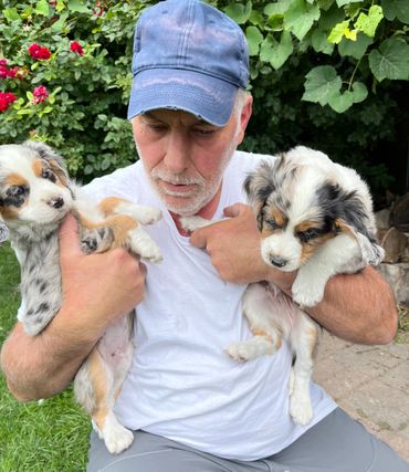 Pick up day for Aussaliers. Couldn’t choose so we got both.