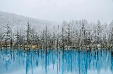 Snow-covered trees reflected in a vibrant blue lake during snowfall.