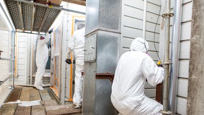 Lead Renovation