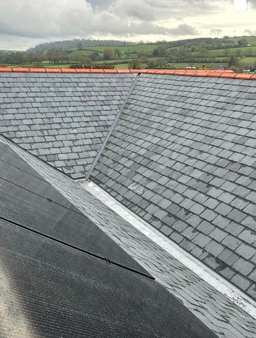 Slate roof tiles on a house with a green countryside background.