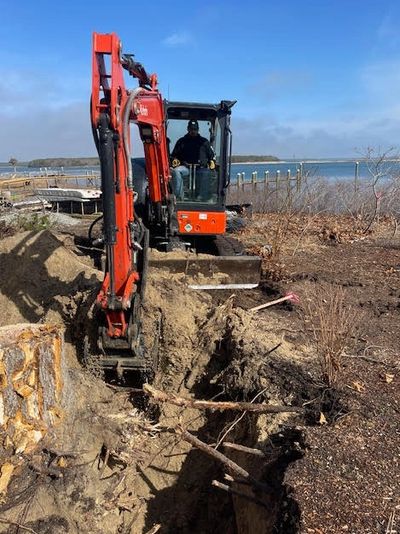 Kubota U48 stump removal in Cape cod
