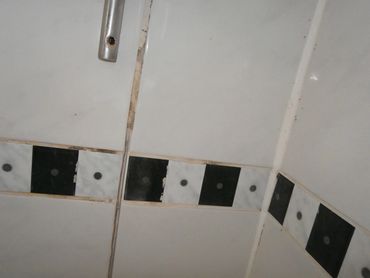 Old moldy shower grout before restoration and regrouting in Brownstown, MI.