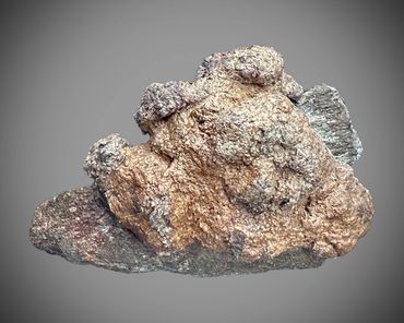 Coprolite on a dinosaur bone.