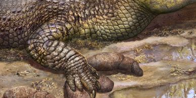 a crocodile stepped in poop coprolite in Vietnam