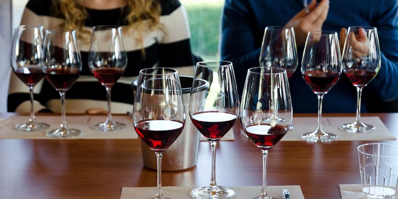 Pessoas estudando e degustando vinhos