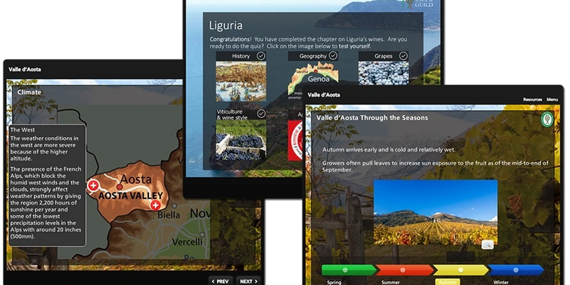 Manual online Italian Wine Scholar (IWS) Unidade 1 da Wine Scholar Guild (WSG)