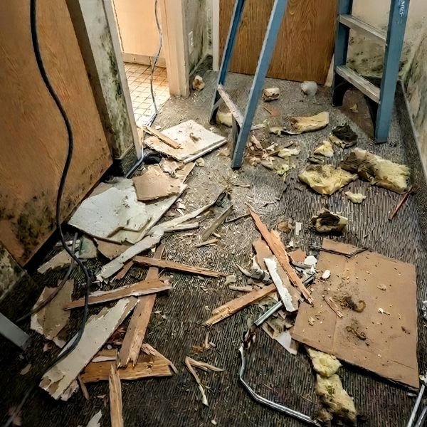 Broken Promises at Betty Ford: Crumbling Halls, Toxic Mold, Insect Infestations, Electrical Hazards,