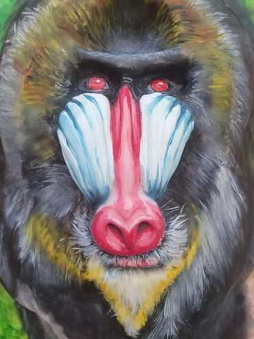 Mandrill from Chester Zoo cake