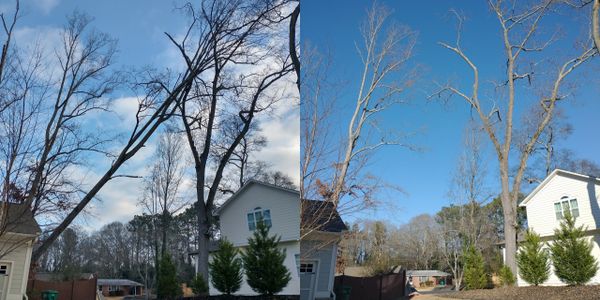 Before and after #10