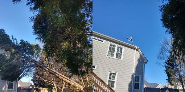 Before and after #11