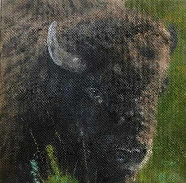 Bison
6 x 6 
Oil on gallery wrapped canvas