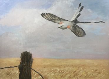  Into the Wind 2
scissor tailed flycatcher
12 x 16 
Oil on Masonite
SOLD 