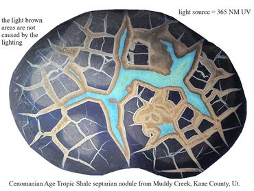 Septarian nodule from Kane County, Utah