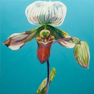 Oil Painting of Lady Slipper flower