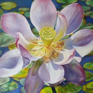 oil painting of water lily by Sue Boydston