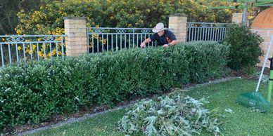 ATB Gardens Yards and Trees: Tree Pruning and Hedging