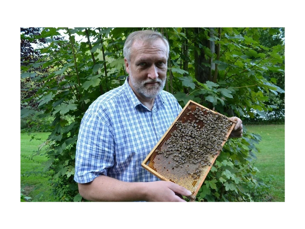 Reinhard Mikat mir Bienenwabe in der Hand