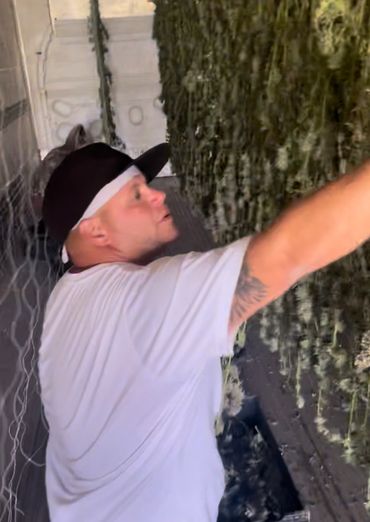 James Diaz Jesus Justice Owner & C.E.O. of Pirate Farms NY Cannabis Pink & Green hanging plants