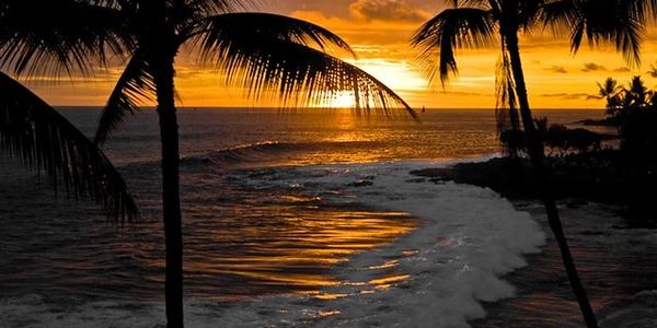 Sunset over ocean waves framed by palm trees.