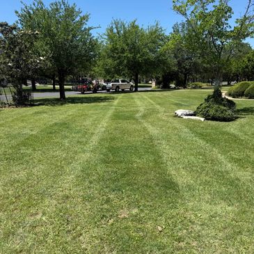 Weekly or Biweekly Lawn Service