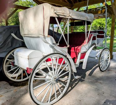 Carriage for photo shoots