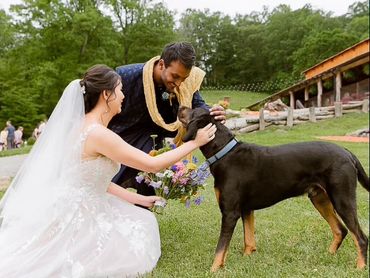 rustic, wedding venue, Blue Ridge Mountains, Leicester, North Carolina, Asheville, North Carolina