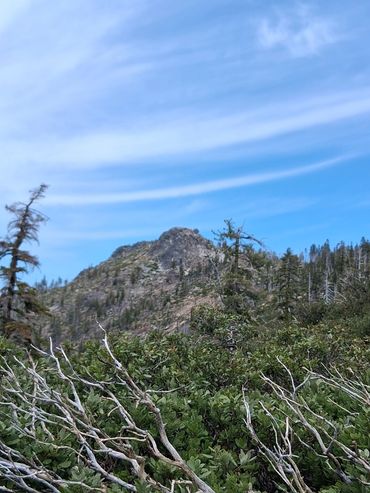 Bald mountain in Tahoe national forest
