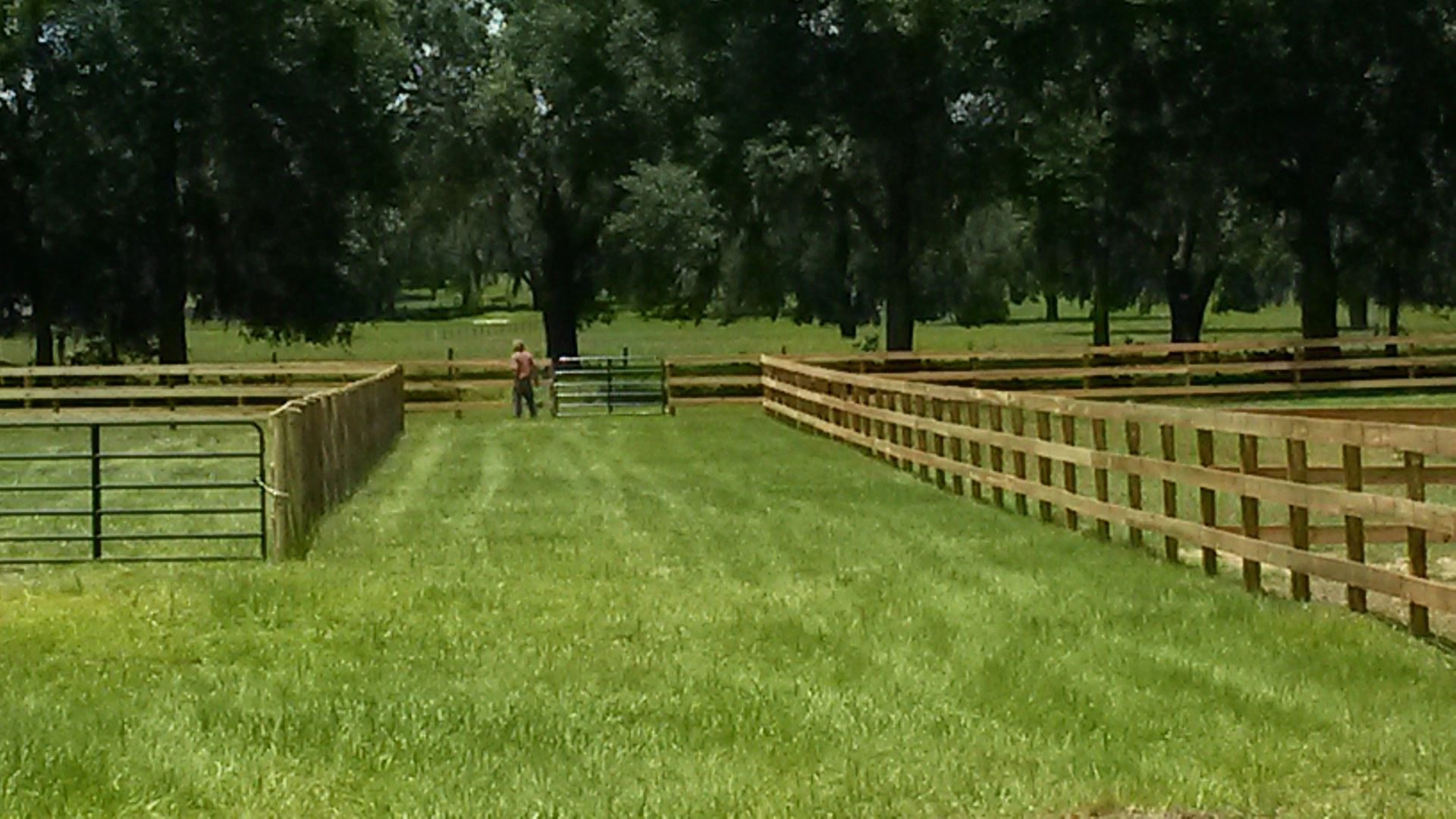 IMPORT Calder Farms LLC