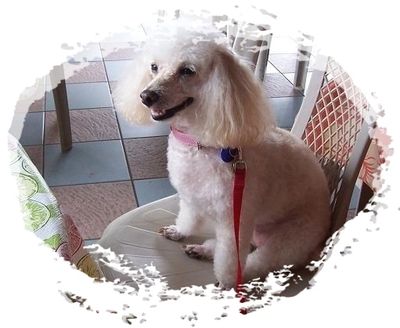 Riley Love 2009 at the Coffee Shack ~ such a good girl