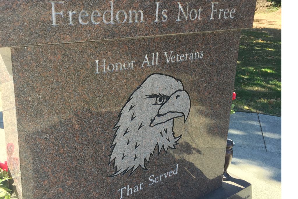 Freedom is Not Free
Honor All Veterans
Eagle