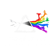 Prism Journey
Facilitation & Coaching