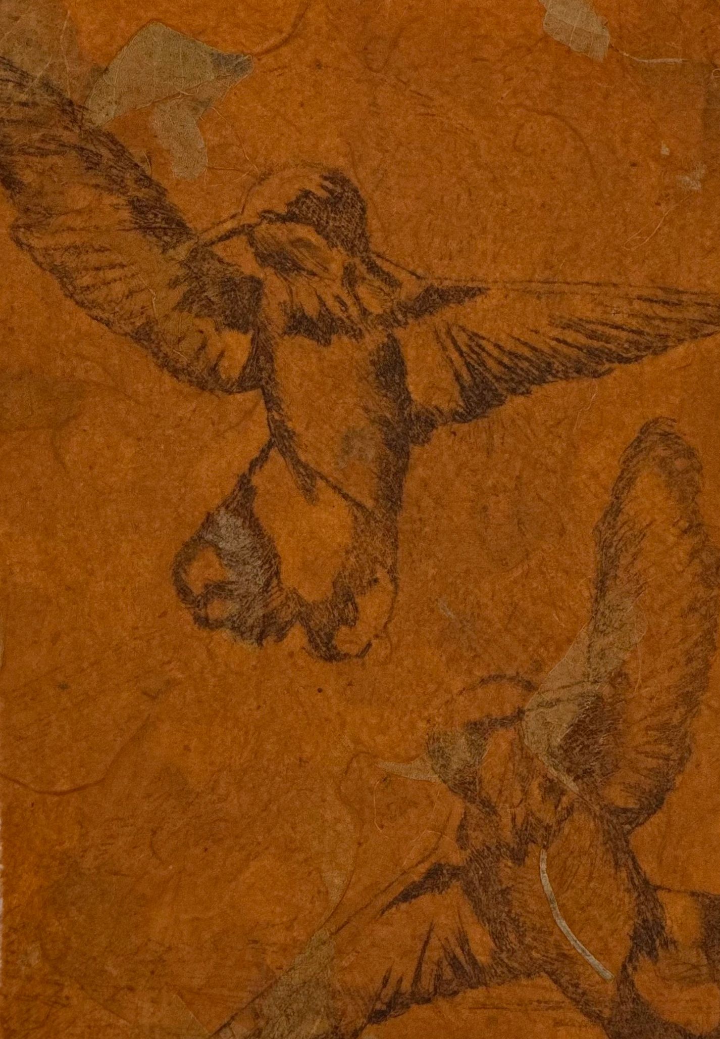 drypoint image of two hummingbirds on rust background; art on paper