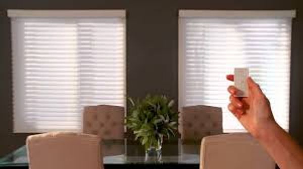 Lutron Remote control shades.