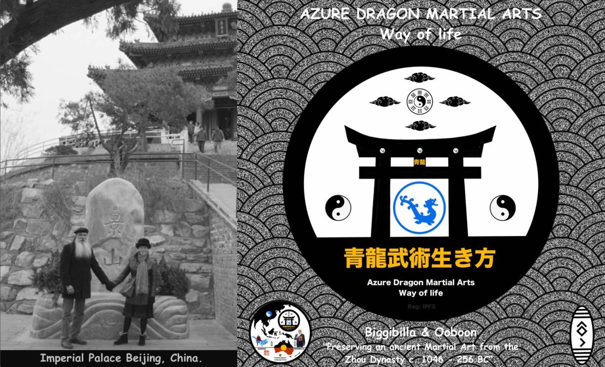 Biggibilla: Azure Dragon Martial Arts