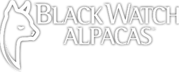 Black Watch Alpacas
